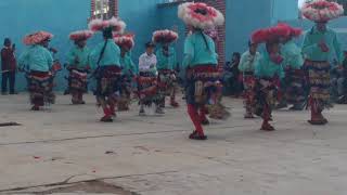 Dansa San Antonio del ciprés Pánuco Zacatecas [upl. by Nemlaz792]