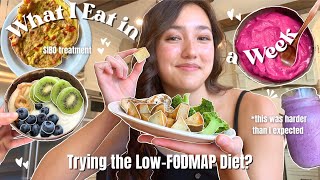 Finally Treating my SIBO  WHAT I EAT IN A WEEK amp my workouts  I tried the LowFODMAP Diet [upl. by Ahsaenat]