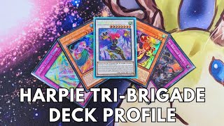 Competitive Harpie TriBrigade deck profile June 2024 TCG Yugioh [upl. by Ayikahs]