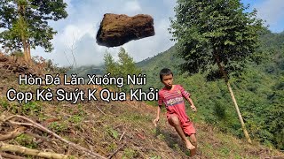 Núi Đá Sập Khi Cọp Kè Và Tuyền Vlog Đi lấy Củi [upl. by Aili]