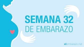 Semana 32 de embarazo  32 semanas de embarazo  El embarazo semana a semana [upl. by Urien]