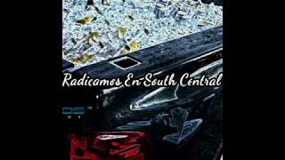 Fuerza Regida Radicamos en South central letra [upl. by Metah]