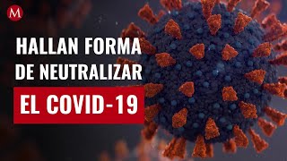 ¿El fin del coronavirus Científicos hallan forma de neutralizar el covid19 en menos de un segundo [upl. by Acireed]