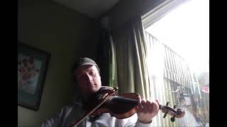 Josefins Waltz  Day 273  366 Days of Fiddle Tunes [upl. by Elvyn]