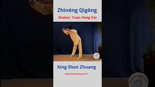 Zhìnéng Qìgōng Xing Shen Zhuang zhinengqigong qigong xingshenzhuang [upl. by Ariew]