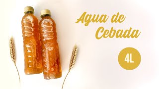 Agua  Refresco de cebada con linaza para negocio  Recetas Copy [upl. by Ssilb923]