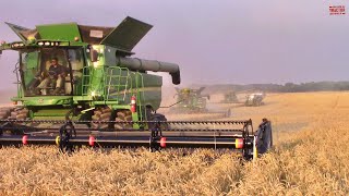 Big WHEAT Harvest in a 1000 Acre Field [upl. by Hnao]