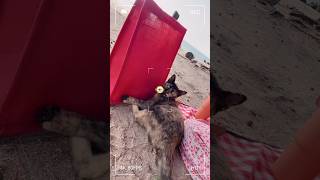 BILA ZARA ZYA JUMPA KUCING BARU TEPI PANTAI [upl. by Frey]