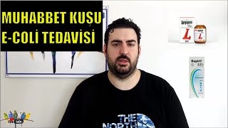 ECOLİ Escherichia Coli BAKTERİSİ VE TEDAVİSİ ll MUHABBET KUŞU ll KURUMA İLE KARIŞTIRMAYIN [upl. by Ynnhoj]