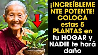 ¡INCREÍBLEMENTE POTENTE COLOCA estas 5 PLANTAS en tu HOGAR y NADIE te hará daño [upl. by Ecam]