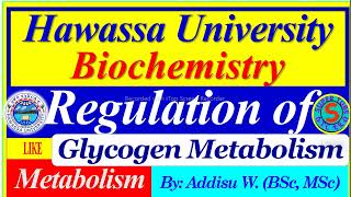 Regulation of Glycogen Metabolism glycogenolysis glycogenesis carbohydrates metabolism review [upl. by Kragh]