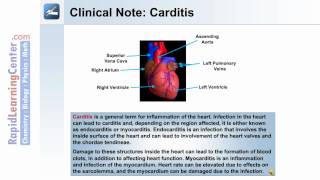 The Cardiovascular System Heart  Part 1 of 3 [upl. by Eidnam397]