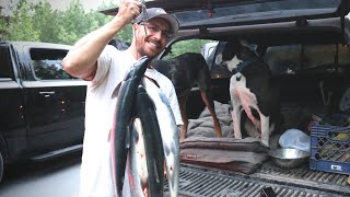 Alaska Sockeye Salmon  Russian River Fishing Trip  Catch and Cook [upl. by Arrak]