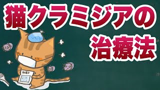 猫クラミジアの治療方法【獣医師解説】 [upl. by Serle]