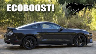 2022 Mustang Ecoboost  The Right Way To Order It [upl. by Uella]