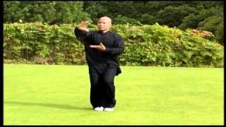 Chen Tai Chi Full Form [upl. by Shevlo681]