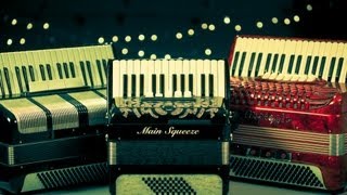 Different Types of Piano Accordions  Accordion Lessons [upl. by Auqenet856]