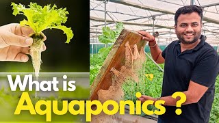 What is aquaponic farming  Israel technology in INDIA By farming engineer Advance farming [upl. by Eelrebma]