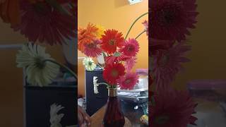 flowers gerberas gerberaflower flowervaseideas sugar design interiordesign officedecoration [upl. by Idorb]