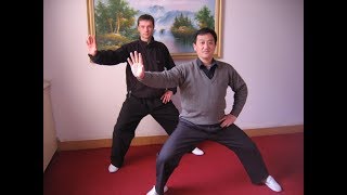 Chen Tai Chi 9 Form Old Style Beginners Form [upl. by Aiekal]