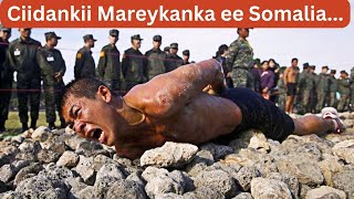 MUXUU MAREYKANKA UGA AARSA WAAYE SOMALİA 1993Dİİ [upl. by Domella818]