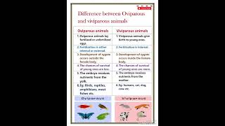 Difference between oviparous and viviparous animals [upl. by Riella]