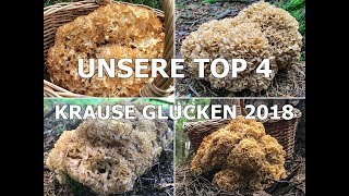 UNSERE TOP 4  Krause Glucken im Pilzjahr 2018  Sparassis crispa [upl. by Muryh239]