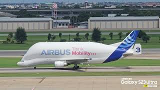 Airbus Beluga A300600ST takeoff  Don Mueang International Airport [upl. by Marla514]