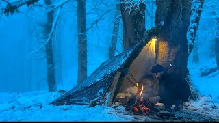 Surviving 30C SNOWSTORM Alone WINTER CAMPING Without TENT [upl. by Miguelita]