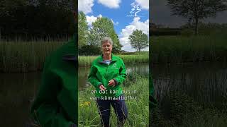 Klimaatbuffer IJsselmonde waterkwaliteit waternatuurlijk [upl. by Llewop]