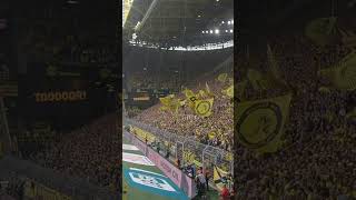 Tor Juble Paco Alcacer  Borussia Dortmund Signal Iduna Park  17082019  Bundesliga [upl. by Ahsikel824]