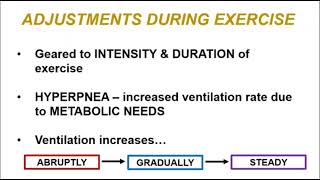 BIO 169 Module 4  Respiratory Adjustments to Altitude and Exercise [upl. by Cirek345]