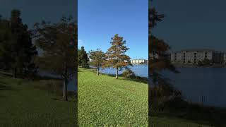 Lake Nona neighborhood  Passeando em Orlando orlando lakenona florida [upl. by Nerita406]