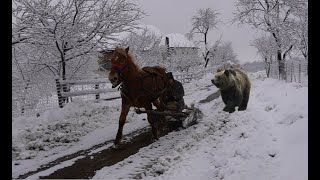 How we survive harsh winters for thousands of years in the mountains [upl. by Newg]