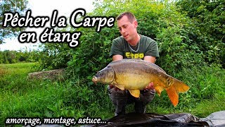 Pêcher la carpe en étang [upl. by Nitin]