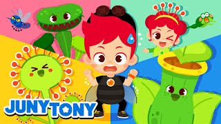 Why Do They Eat Bugs  More Bug Songs  Insect Songs for Kids  Animal Song  JunyTony [upl. by Eile]