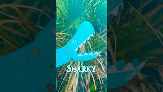 Sharky VS Larry 🦞🦈 shark lobster seaanimals toys [upl. by Dahs813]