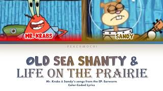 Spongebob  Mr Krabs amp Sandys songs from Earworm  ColorCoded Lyrics [upl. by Nellak]