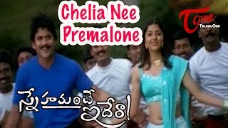 Snehamante Idera Songs  Chelia Nee Premalone  Nagarjuna  Bhoomika [upl. by Mazman]