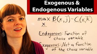 Exogenous amp Endogenous Variables in Economics [upl. by Helen]