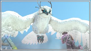 TAMING SNOW OWLS THAT WILL HEAL ALL MY DINOSAURS  ARK Caballus Episode 58 [upl. by Justinn]