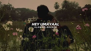 Hey Umayaal  Slowed  Reverb  Urumeen [upl. by Esyli506]