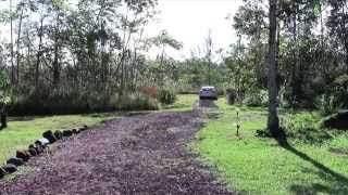 Road to Leilani Nepenthes Nursery [upl. by Pavier973]