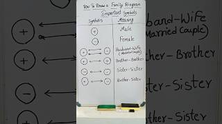 Blood relations family diagram symbols family diagram symbolshttps bloodrelationtrickshttps [upl. by Hayalat]