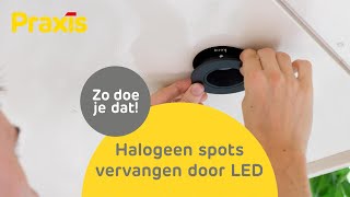 Halogeenlampje vervangen door LED  Stappenplan  Praxis [upl. by Lopes]