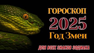 ГОРОСКОП НА 2025 ГОД ДЛЯ КАЖДОГО ЗНАКА ЗОДИАКА [upl. by Whiney]