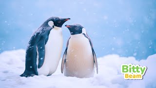 Arctic amp Antarctic Animals In Nature Penguin Seal Whale  Animal Sounds  BittyAnimals For Kids [upl. by Aihsyak]