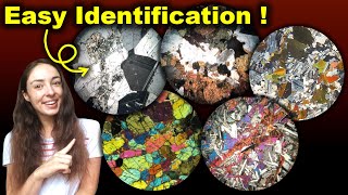 Hornblende vs Biotite under PPL and XPL [upl. by Besse]