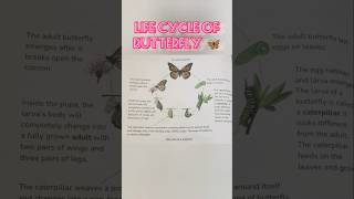 Life cycle of Butterfly 🦋studydriveshortssciencestudydrive [upl. by Eitsirc]