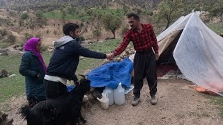 Sacrifice man Thanking the selfless man who saved the life of Parvaneh Khanam in the river [upl. by Anayk]